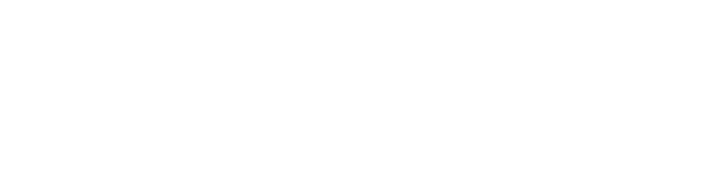 ES_Financiado_por_la_Unión_Europea_RGB_WHITE_Outline