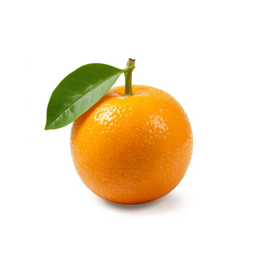 vivers germans nolla (1)